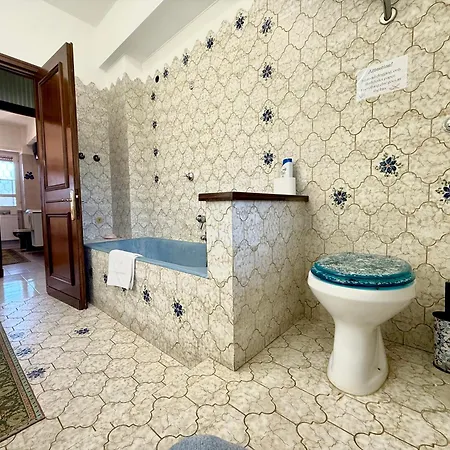 Bonelli Comfort